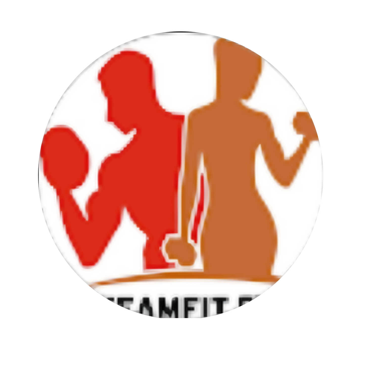 Team Fit Logo